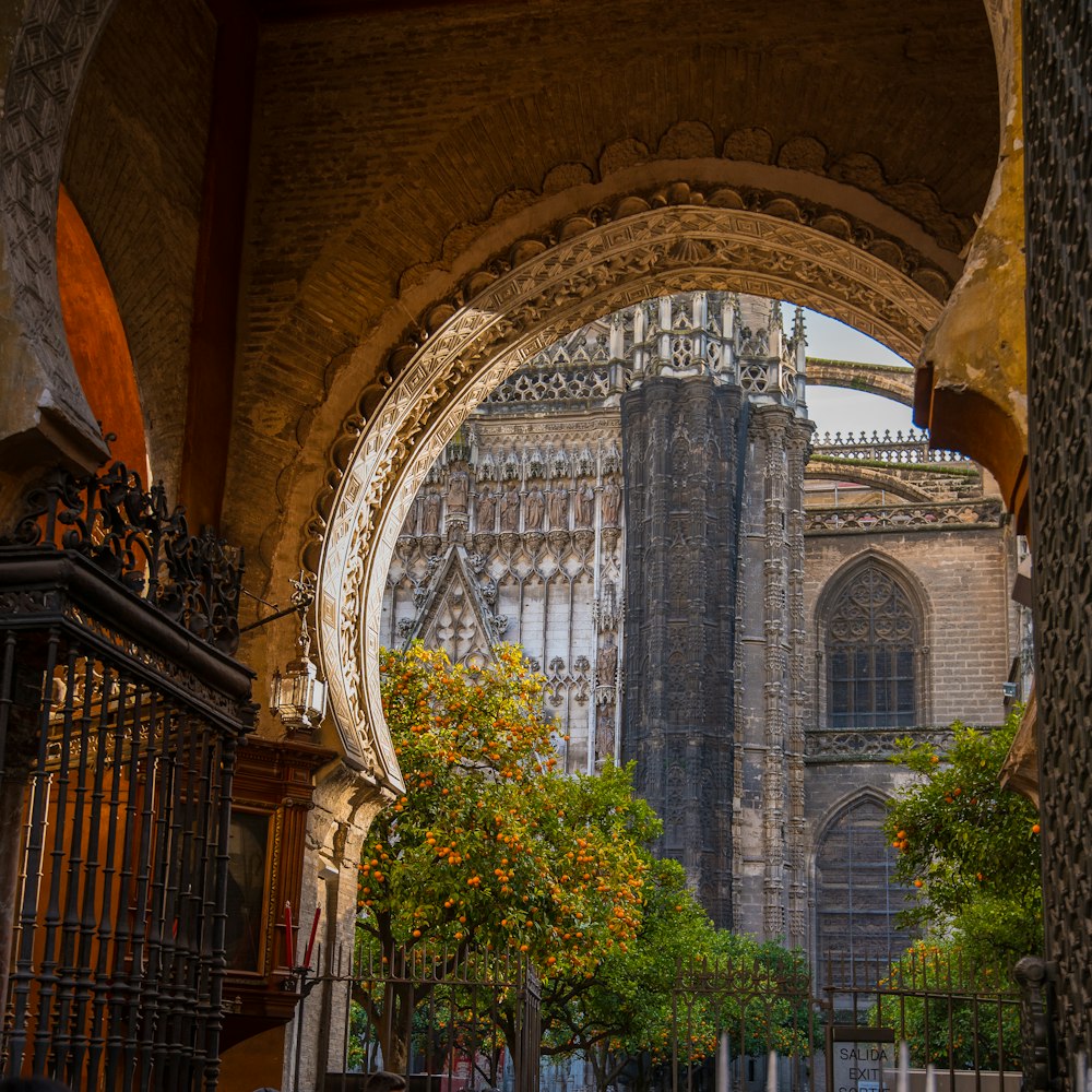 Cattedrale in cemento