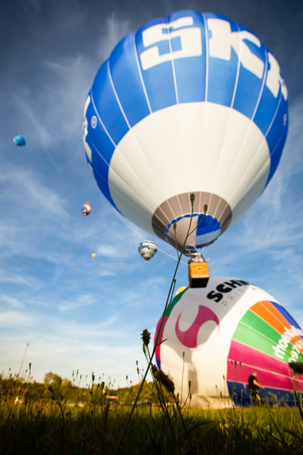 hot air balloons floating in the sky