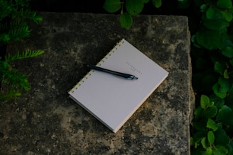 A spiral-bound notebook with the words 'DAY DREAMS' printed on it and a black pen resting on top, placed on a textured stone surface surrounded by green leaves.