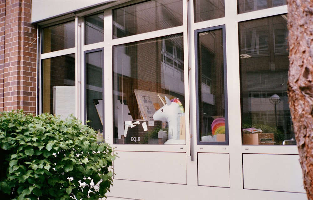 finestra di vetro incorniciata in legno bianco chiusa