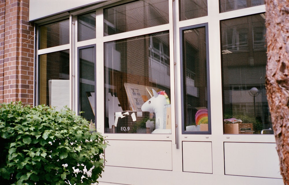 closed white wooden framed glass window