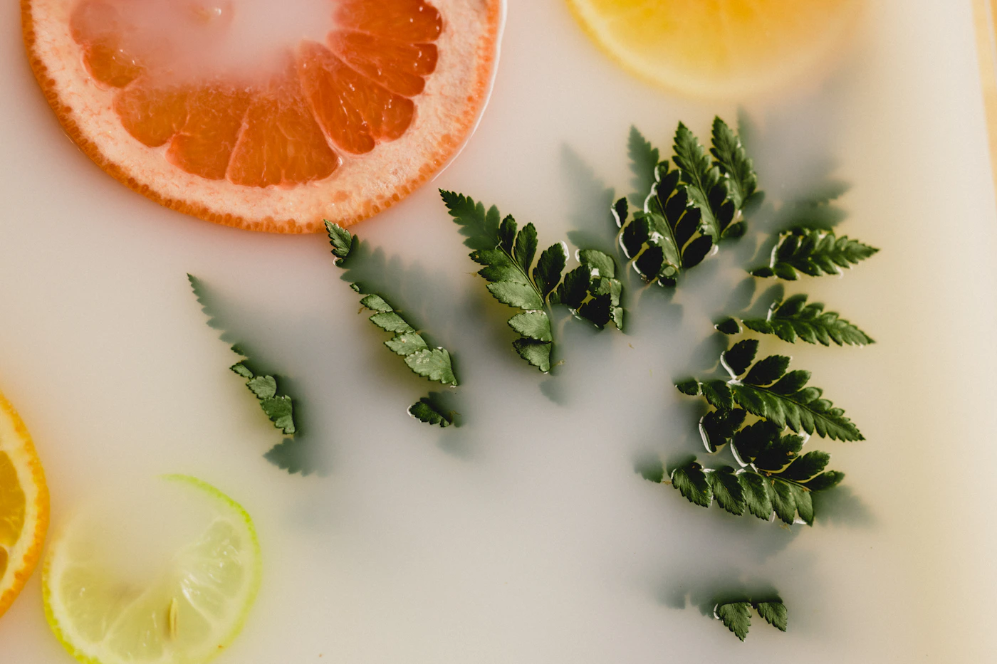 Agrumes et feuillage sur une surface claire, Amy Peryam sur Unsplash