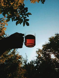 A sunlit scene of a hand holding a glass of headmasters elevated elixirs against a backdrop of leafy greenery.