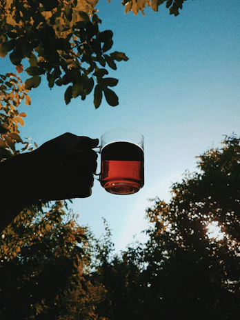A sunlit scene of a hand holding a glass of headmasters elevated elixirs against a backdrop of leafy greenery.