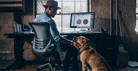 Home Office com pets