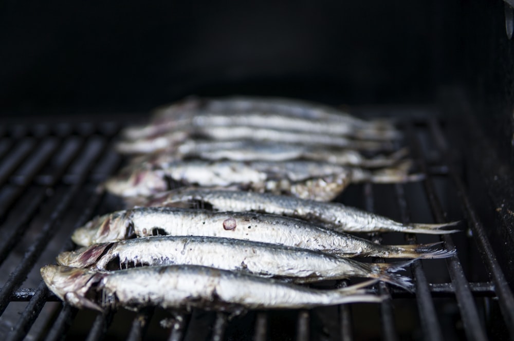 fishes grilled