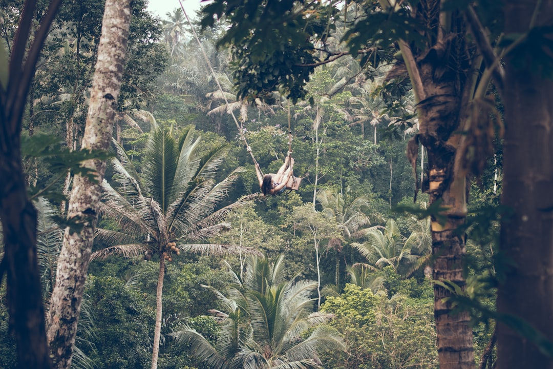 woman climbing between trees