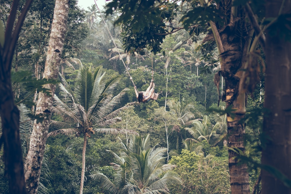 woman climbing between trees