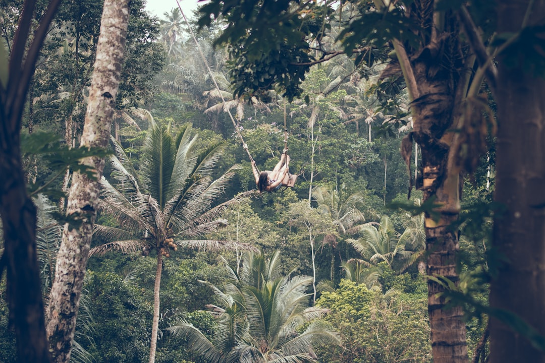 woman climbing between trees, Woman swings in the jungle