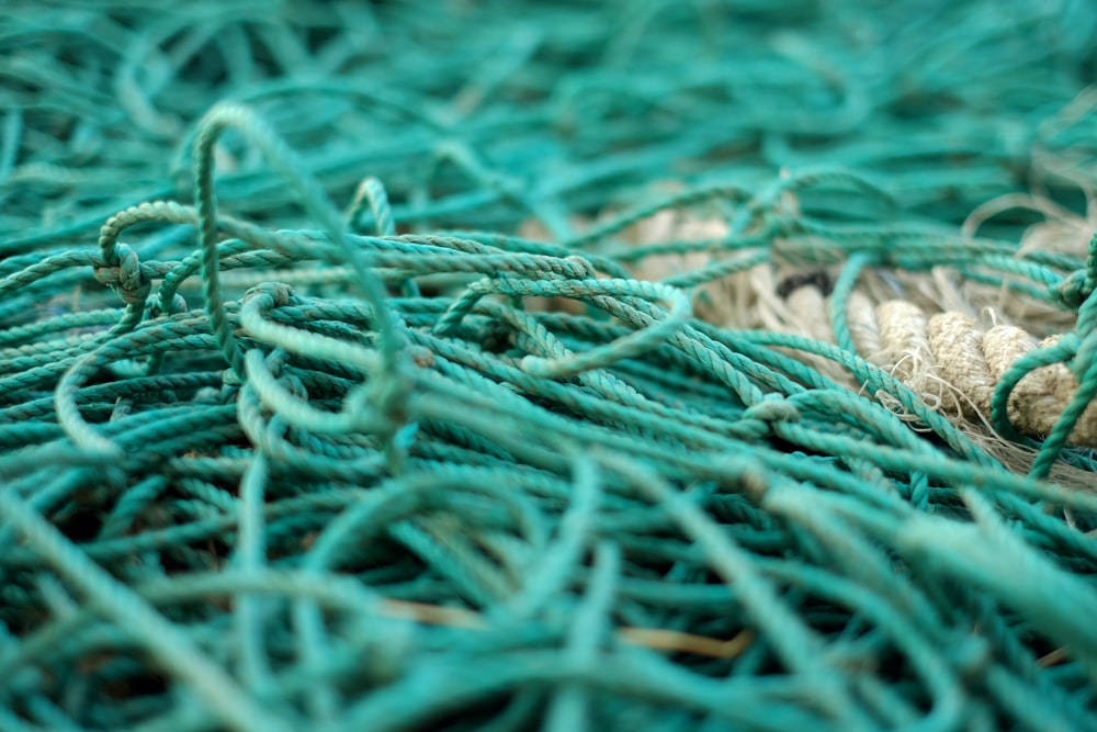 tilt shift photography of green ropes