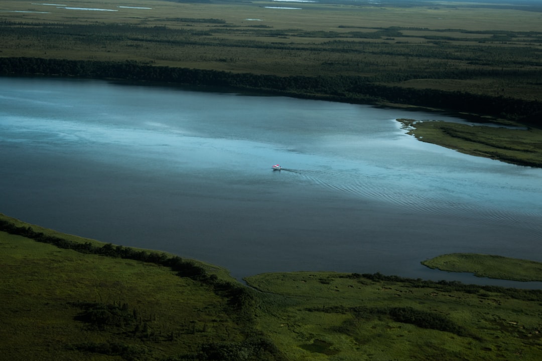 aerial photography of body of water surrounded by trees, As we flew inland toward Katmai National Park I was able to spo