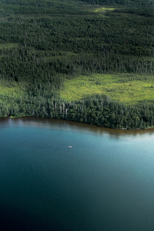trees near body of water in Katmai National Park and Preserve United States
