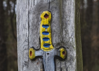 yellow dagger engraved on tree