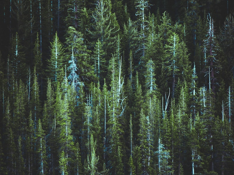 笔下生花的小说 諸界末日線上 煙火成城- 第三百一十二章 再一次的相见！ 革風易俗 梟視狼顧 熱推-p1