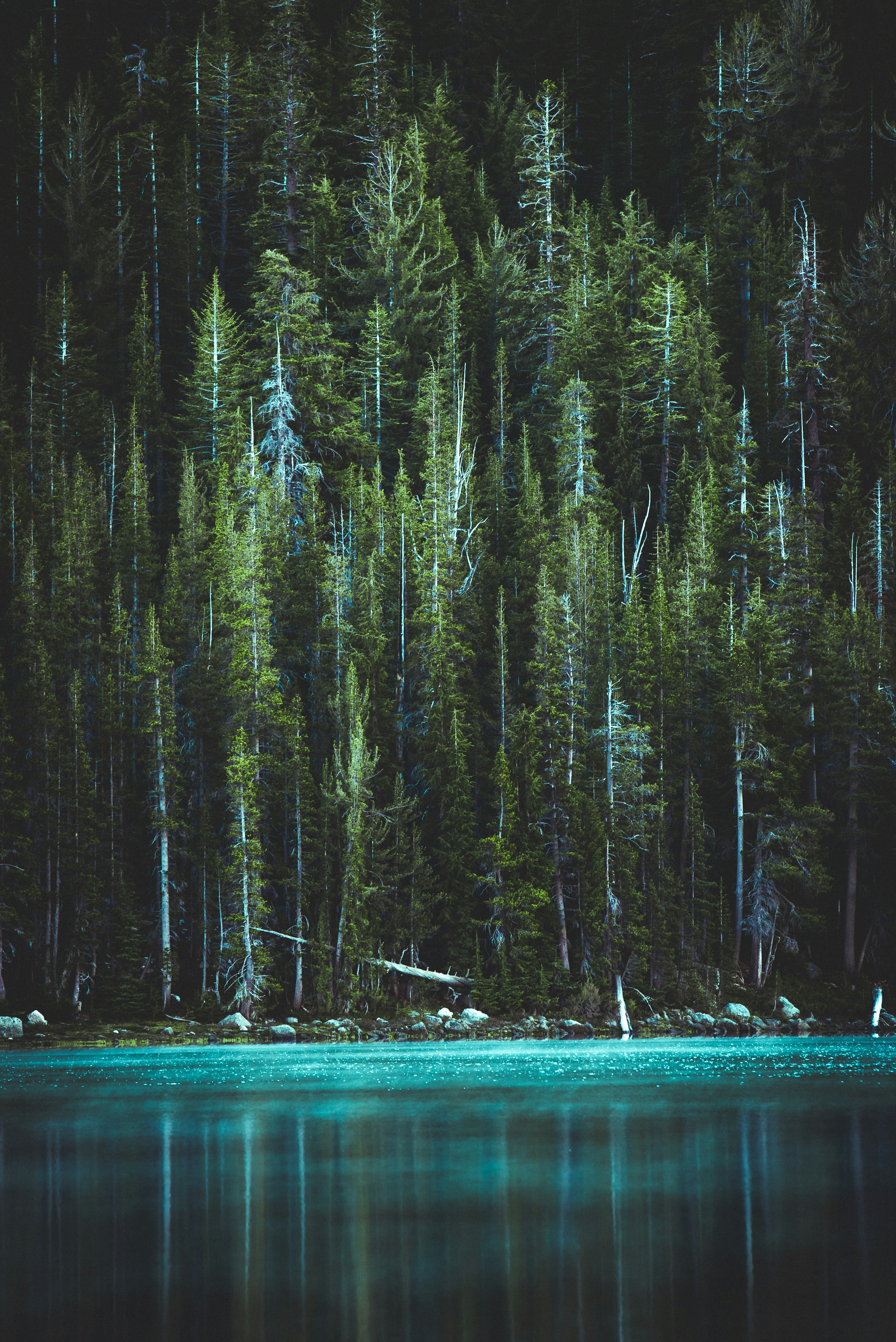 Are There Any Specific Fishing Locations On Beaver Lake For Pontoon Boat Rentals?