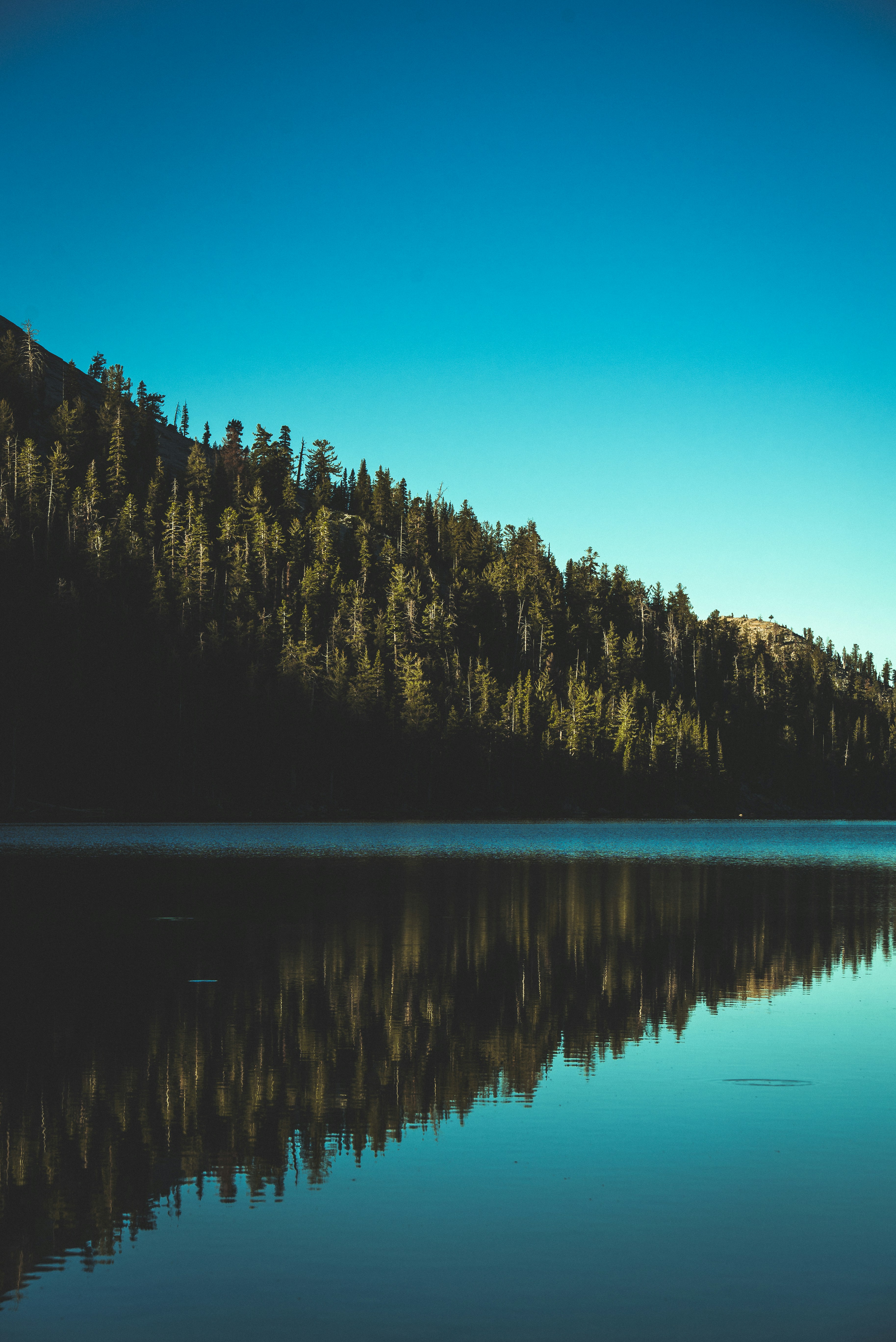 Photo by mischievous_penguins