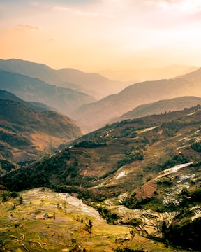 A sunlit terraced farm in Uttarakhand with farmers tending to neat rows of crops.