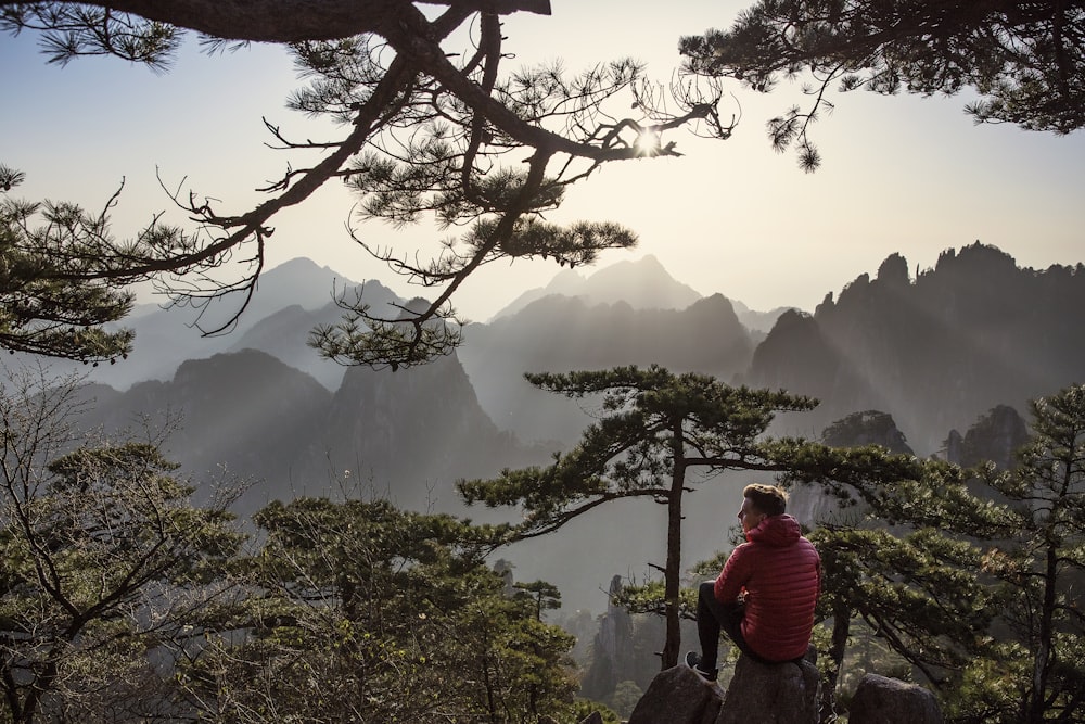 man sitting on rock surrounded by trees