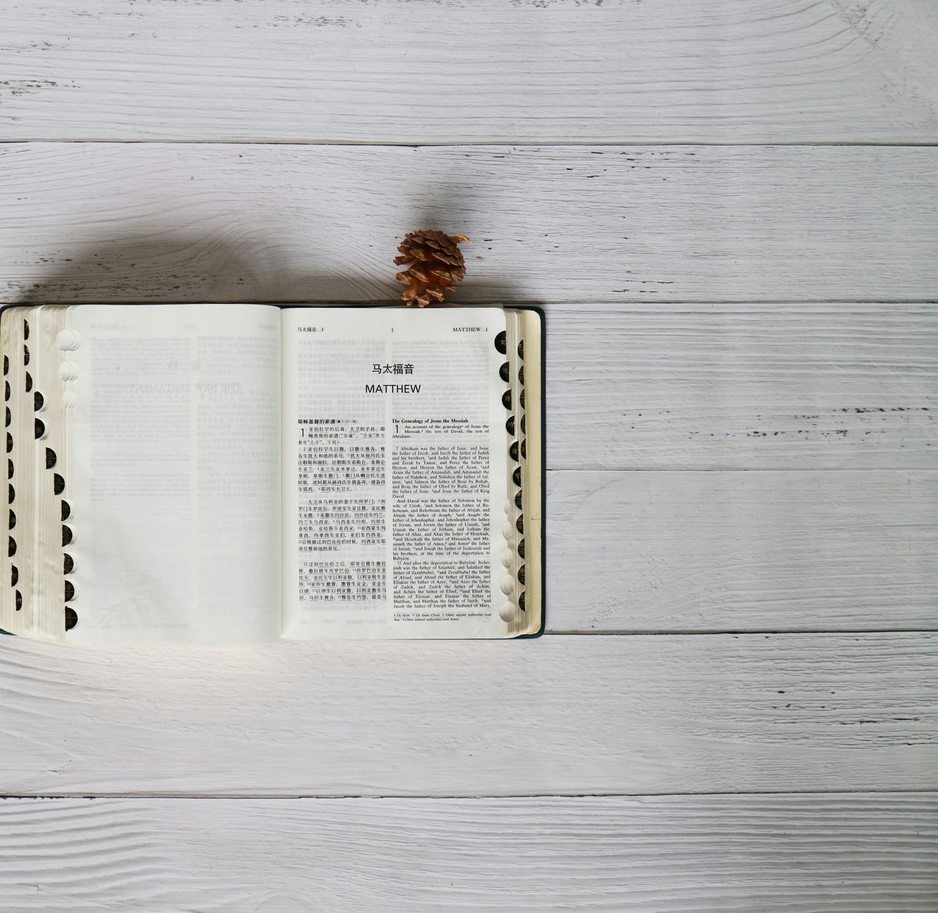 Cara Belajar Bahasa Mandarin untuk Pemula