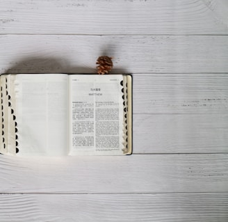 An open book with text in both Chinese and English lies on a white wooden surface. A small pine cone is placed above the book.