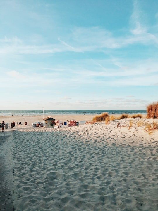 Juist things to do in Baltrum