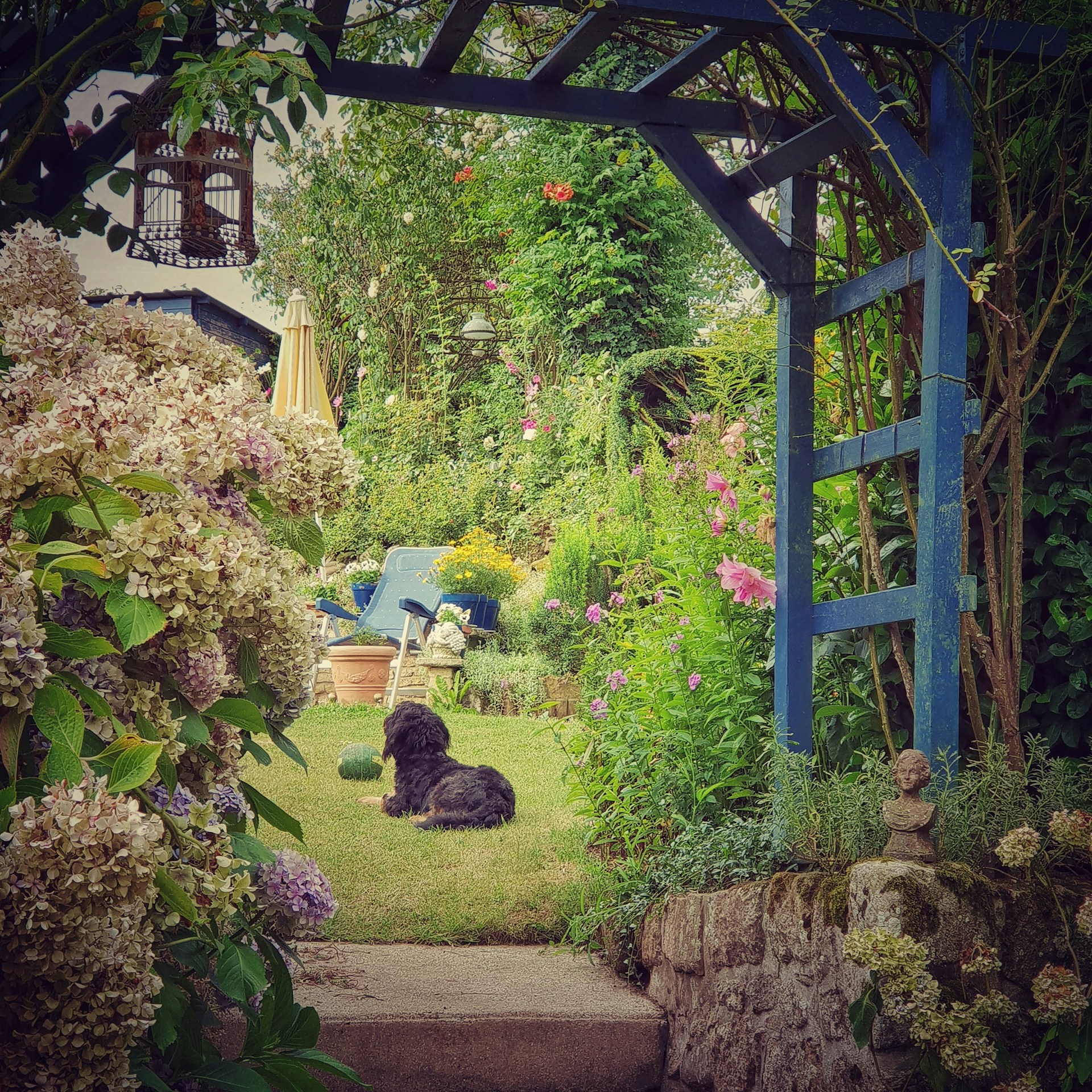 woman wearing yellow long-sleeved dress under white clouds and blue sky during daytime