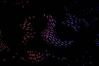 purple and pink lights