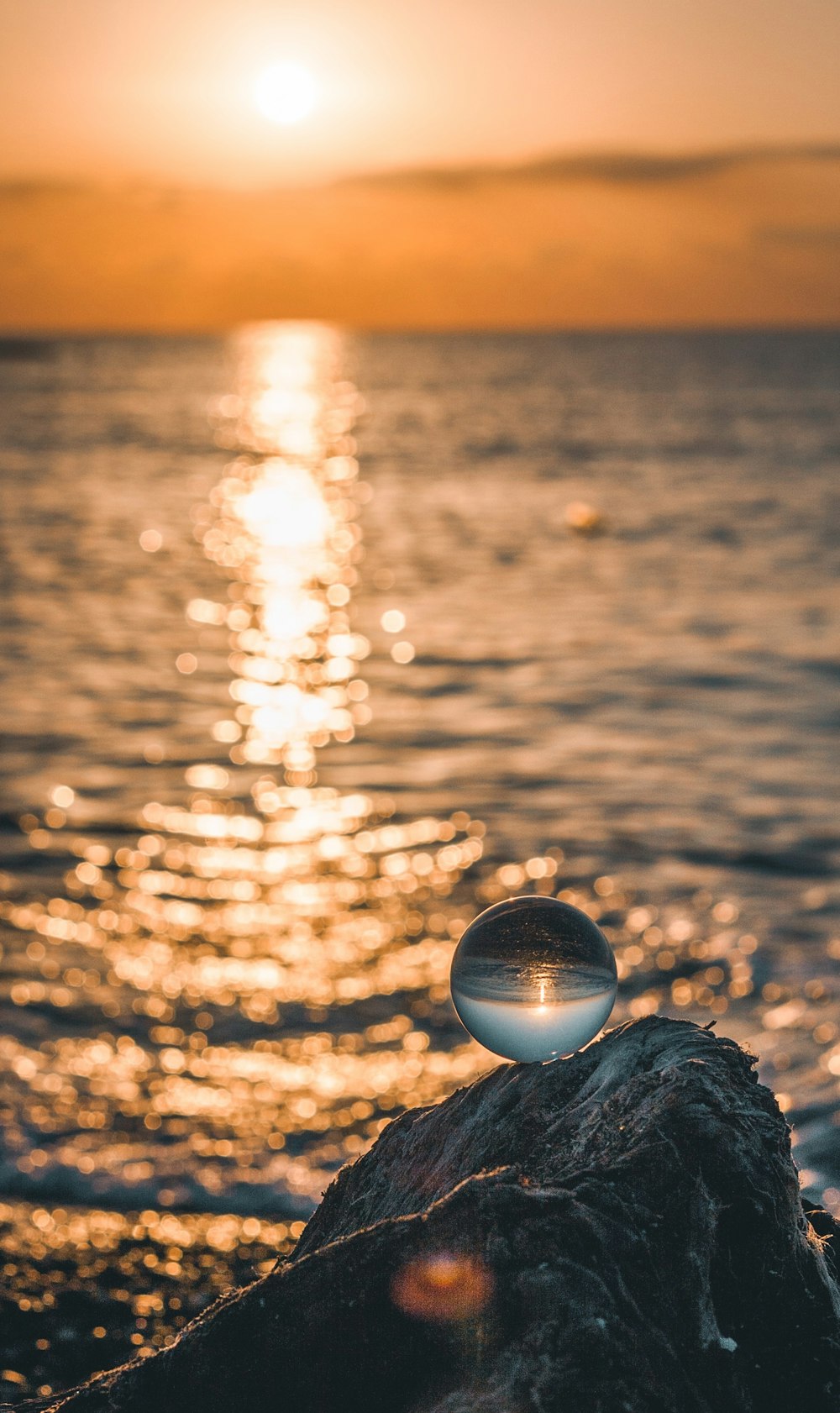 500 Good Morning Images Download Free High Definition Photos On