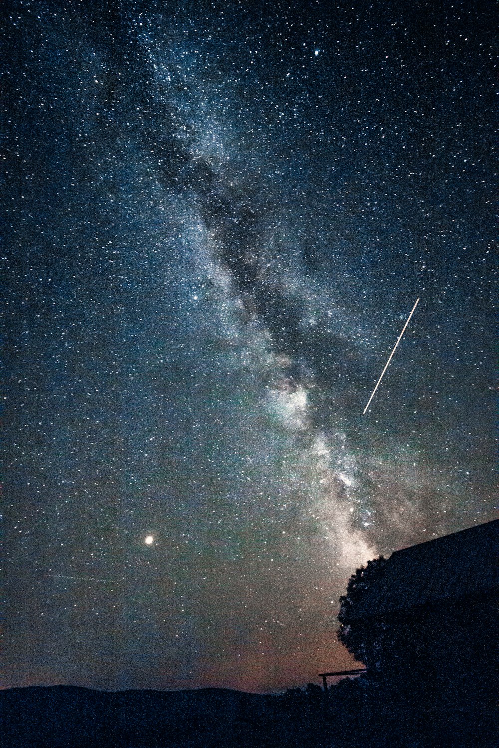 silhueta da árvore estrelada papel de parede noturno