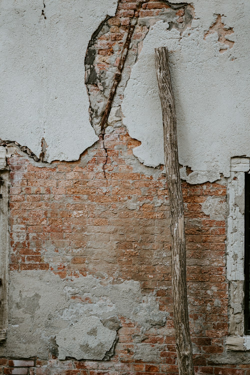 brown wood branch leaning on gray and brown concrete wall