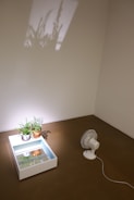 A compact, stylish air cooler placed on a wooden table with plants around