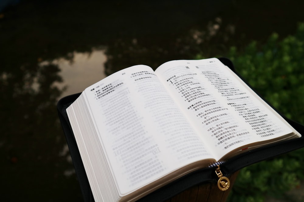 closeup photo of book page