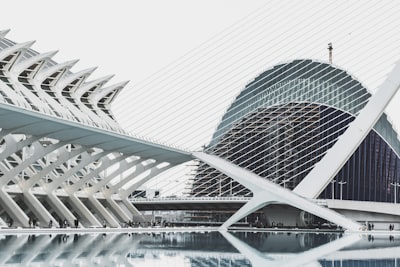 Pont de l'Assut de l'Or - 从 Museu de les Ciències Príncipe Felipe, Spain