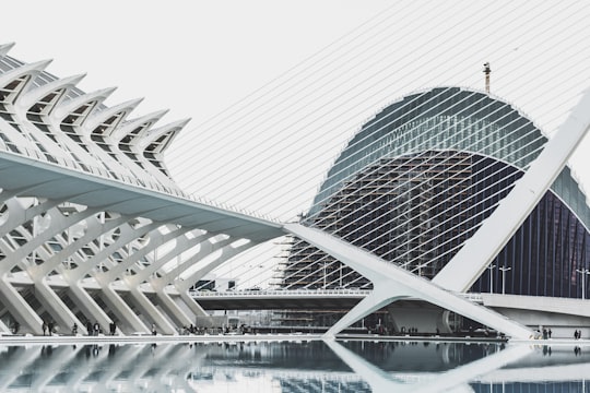 white architectural photography in City of the Arts and the Sciences Spain
