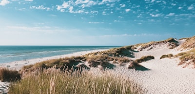 island with white sand seaside teams background