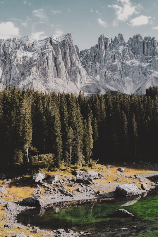 green leafed forest near body of water in Karersee Italy