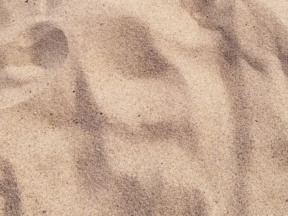 focus photo of brown sand