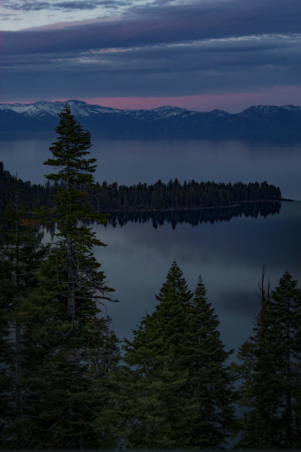 silhouette photography of forest and mountain near body of water