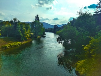 A serene river delta flowing into a lush landscape.