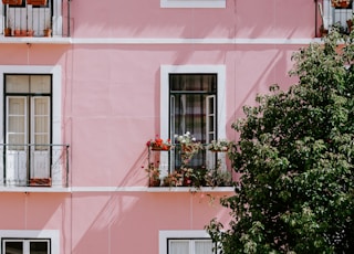 pink concrete commercial building near green tree