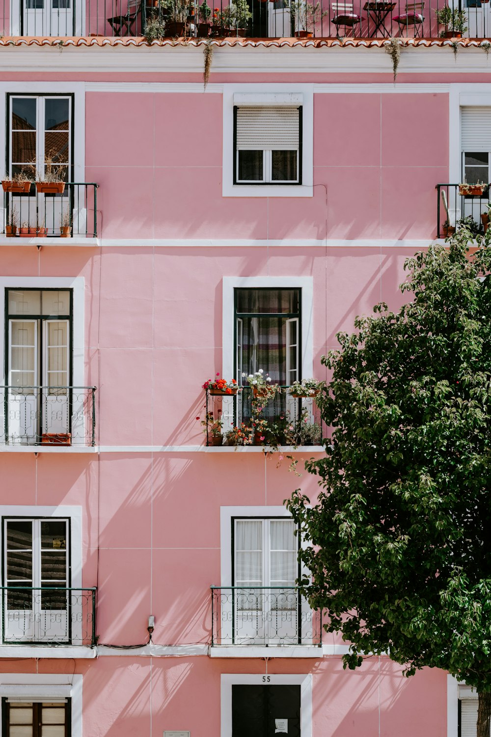 pink concrete commercial building near green tree