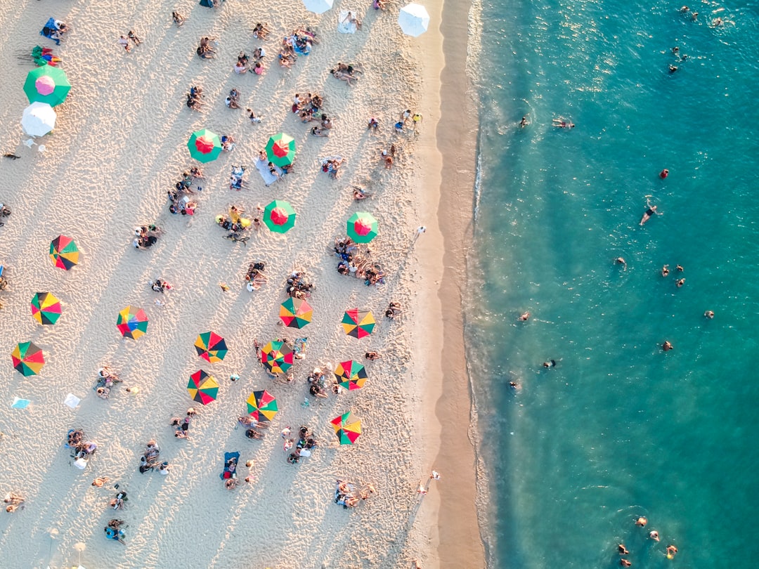 bird's eye view photo of people on beach