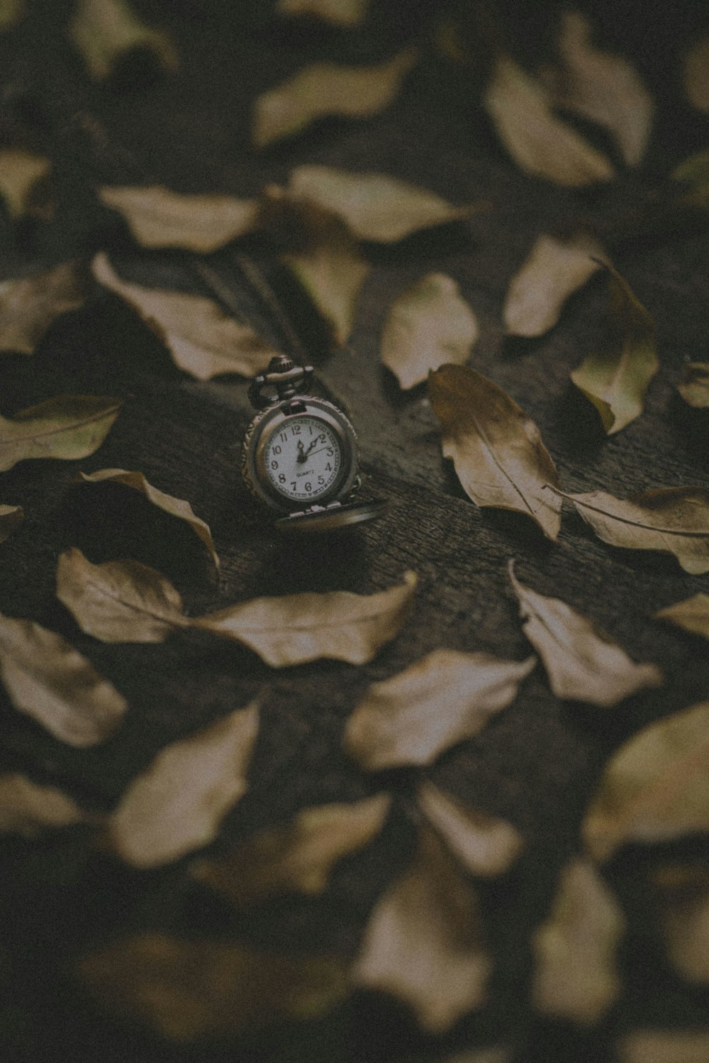 round silver-colored pocket watch at 12:09