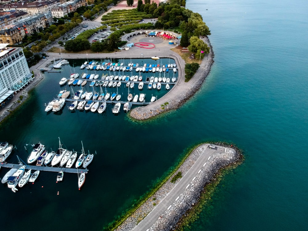 yacht dock near building