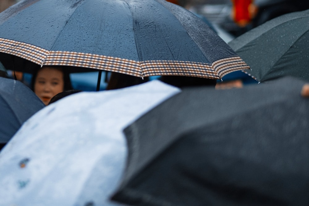 Photo de personnes utilisant des parapluies