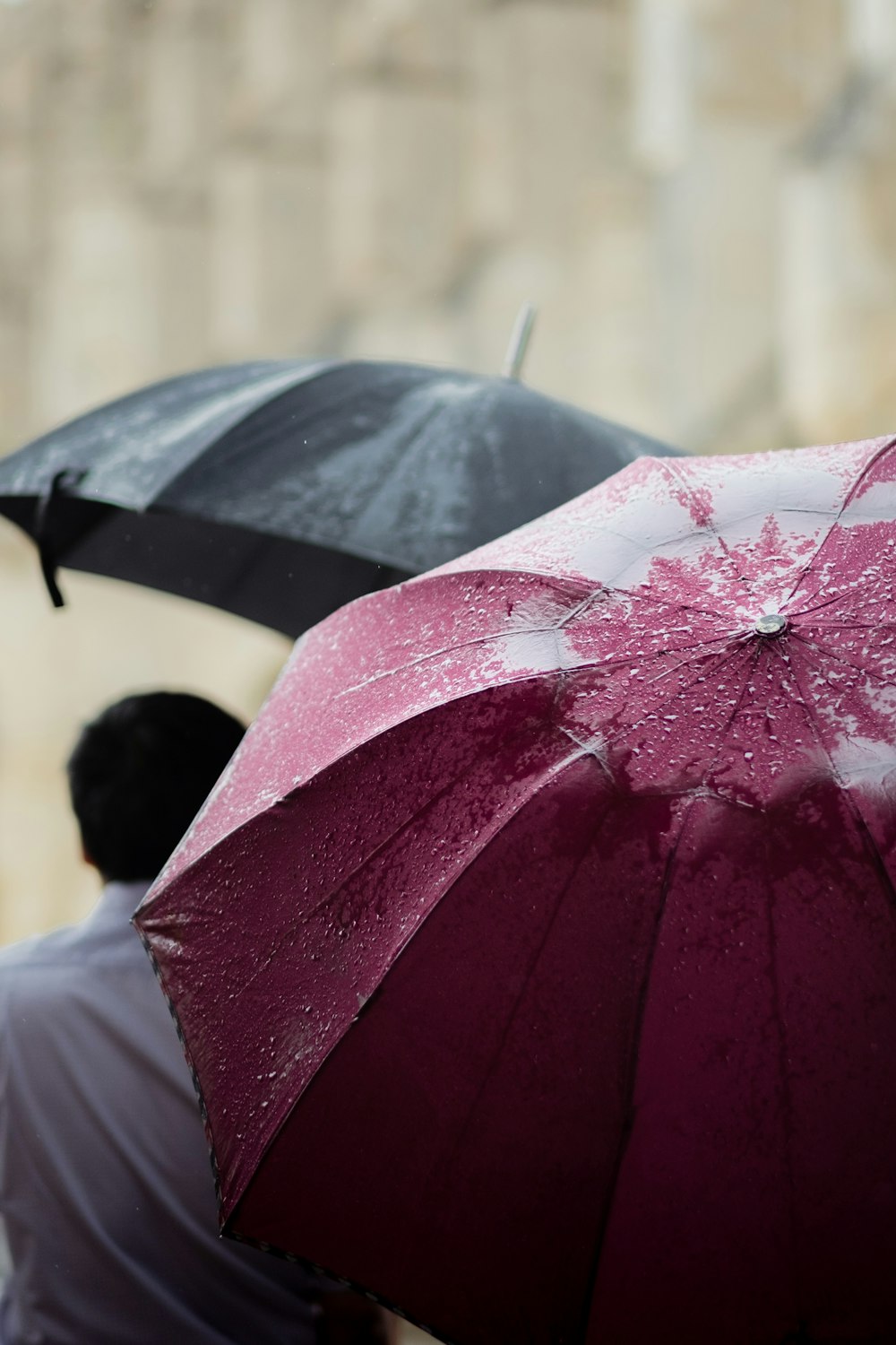 due ombrelli rosa e neri foto focale selettiva