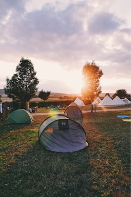 Campers setting up colorful tents in an open field at dawn.