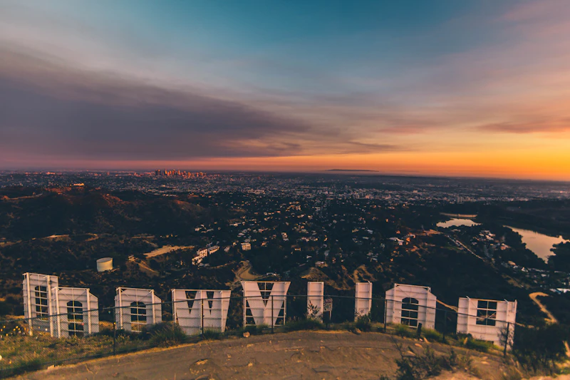 Los Angeles California skyline with palm trees at sunset