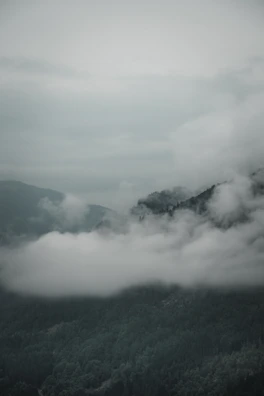 A serene mountain landscape view from the retreat, with mist rolling over the hills.