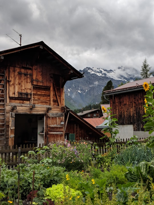 landscape photography of brown house with garden of flowers in Brunnen Switzerland